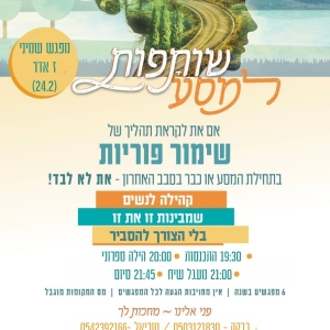 שותפות למסע