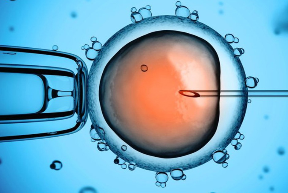 WhatsApp Image 2026-01-22 at 11.14.09